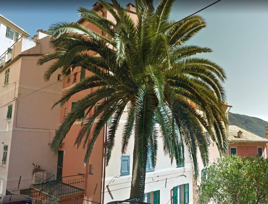 Embarcadero - Camogli & Gateway To Portofino Apartment Ngoại thất bức ảnh